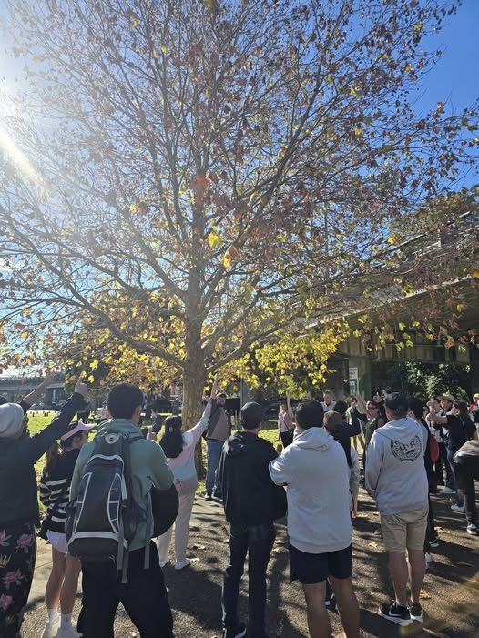 Walk and Talk Auckland gathered under a tree in a park before a walk